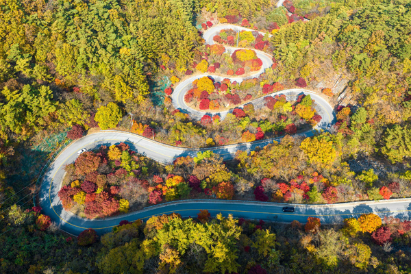 Scenic mountain switchbacks in autumn during a South Korea guided motorcycle tour, perfect for a motorbike road trip in Korea.